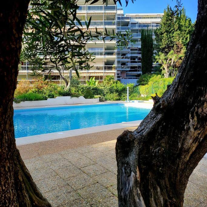 Grand Studio Localisation Ideale Antibes Zewnętrze zdjęcie
